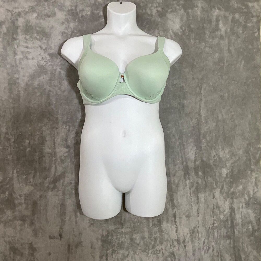 Ambrielle Super Soft Full Coverage Bra Lined Underwire Womens 38DDD Green